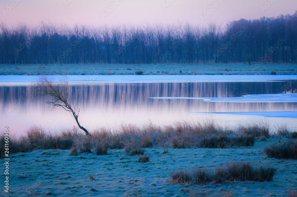 Fototapeta premium Nature