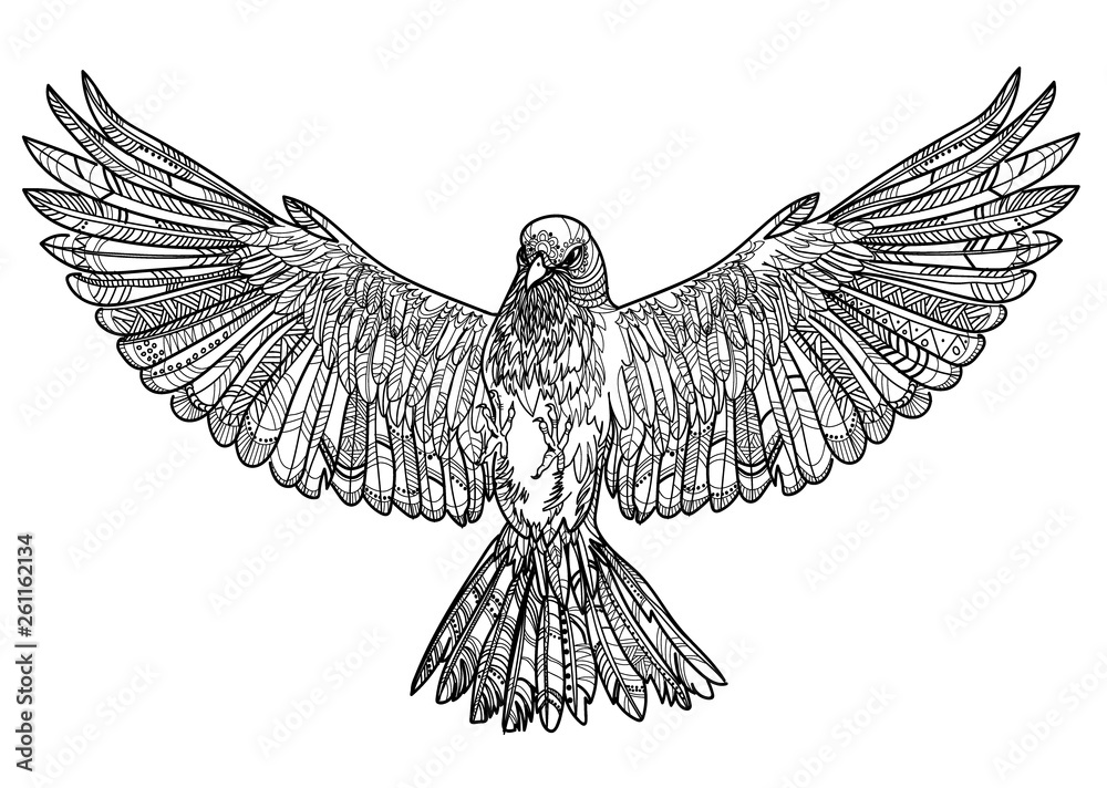Bird Wings Spread Drawing