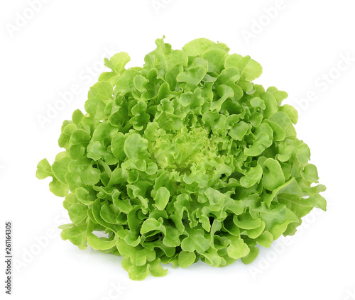 fresh green oak lettuce isolated on white background
