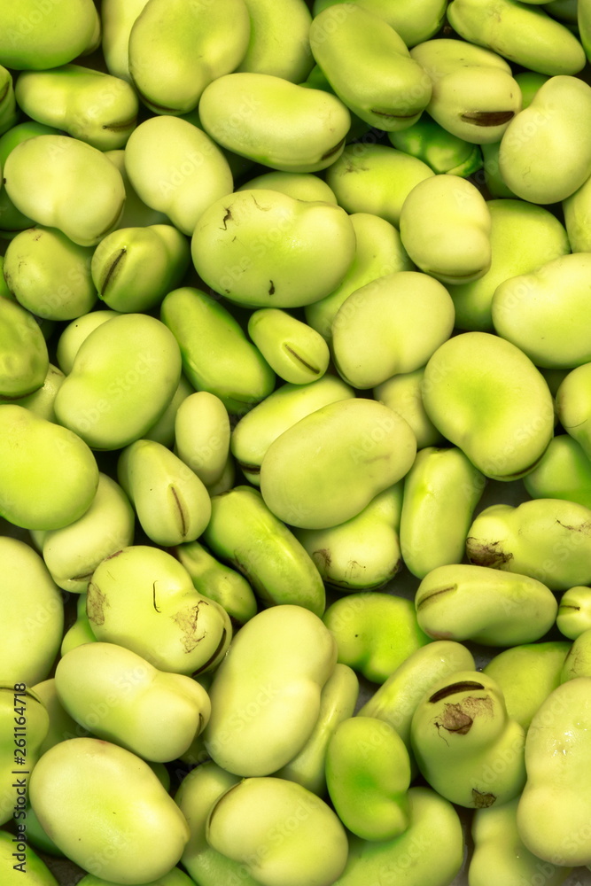 broad beans broad beans