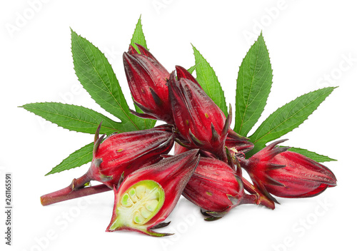fresh roselle with leaf isolated on white background