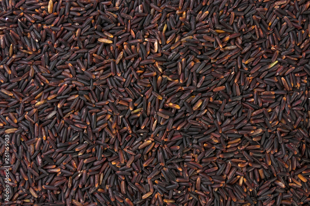 jasmine black rice texture background. nutrition. bio. natural food ingredient. jasmine black rice texture background. nutrition. bio. natural food ingredient.