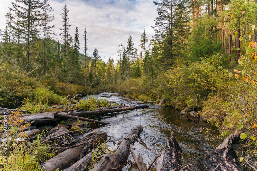 Scenic view of the river in the autumn Siberian taiga, the Baikal region, Irkutsk region, Russia Scenic view of the river in the autumn Siberian taiga, the Baikal region, Irkutsk region, Russia