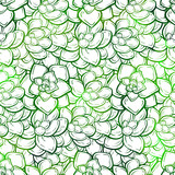 Colorful succulents vector seamless pattern