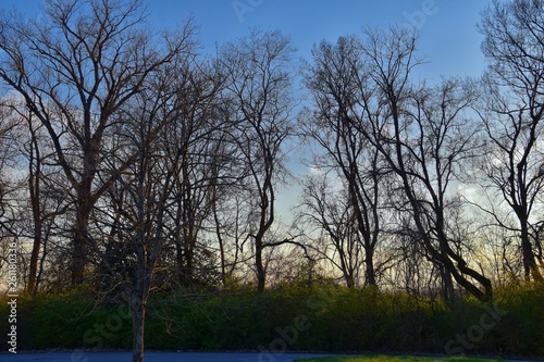 Dusk Sunset views through winter tree branches by Opryland along the Shelby Bottoms Greenway and Natural Area Cumberland River  Nashville  Tennessee. United States.
