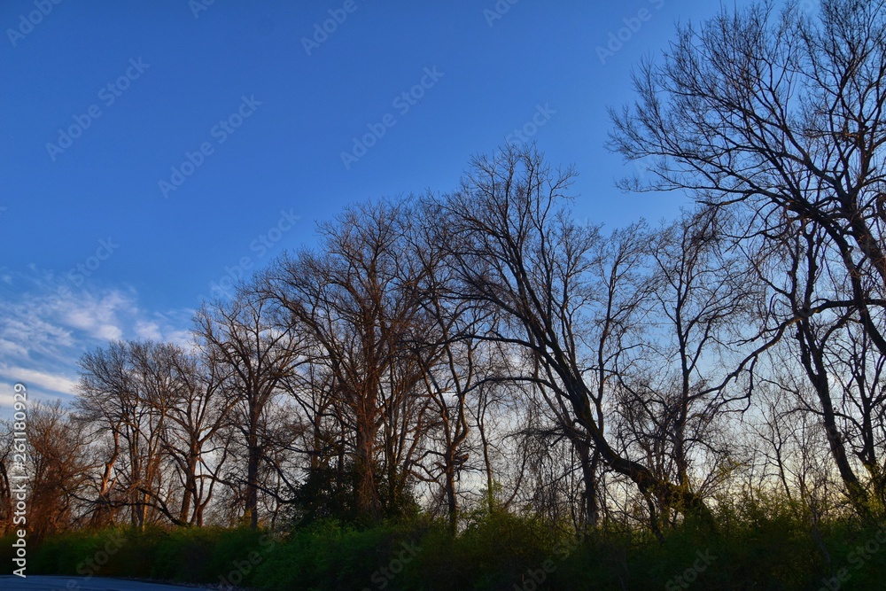 Dusk Sunset views through winter tree branches by Opryland along the Shelby Bottoms Greenway and Natural Area Cumberland River, Nashville, Tennessee. United States. Dusk Sunset views through winter tree branches by Opryland along the Shelby Bottoms Greenway and Natural Area Cumberland River, Nashville, Tennessee. United States.