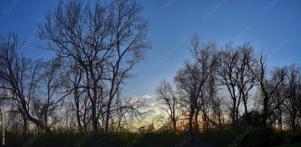 Dusk Sunset views through winter tree branches by Opryland along the Shelby Bottoms Greenway and Natural Area Cumberland River, Nashville, Tennessee. United States. Dusk Sunset views through winter tree branches by Opryland along the Shelby Bottoms Greenway and Natural Area Cumberland River, Nashville, Tennessee. United States.