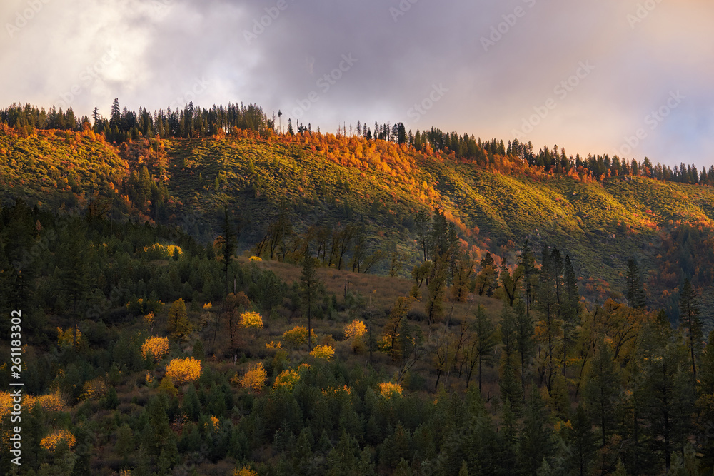 Sierra Nevada Mountains with tree and leaves changing for Fall after a storm.