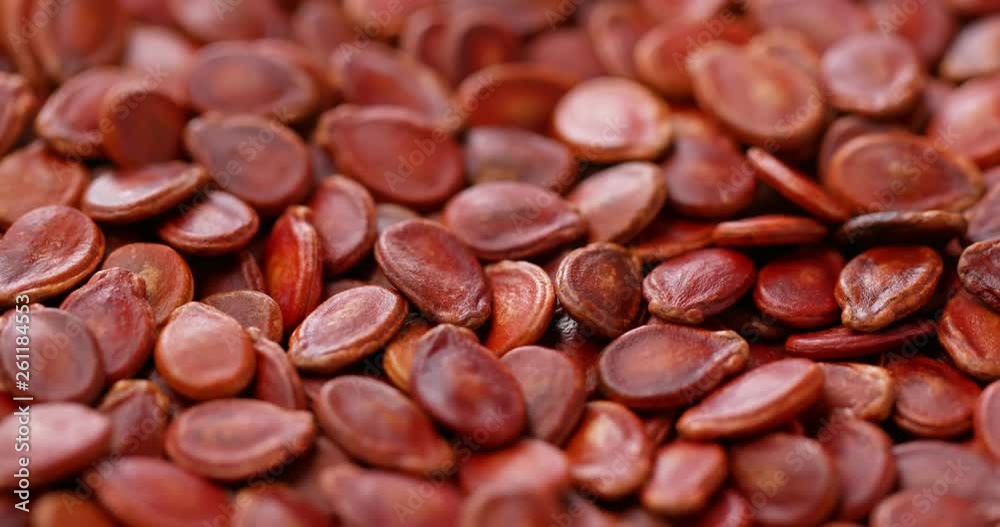 Chinese new year red melon seed Chinese new year red melon seed