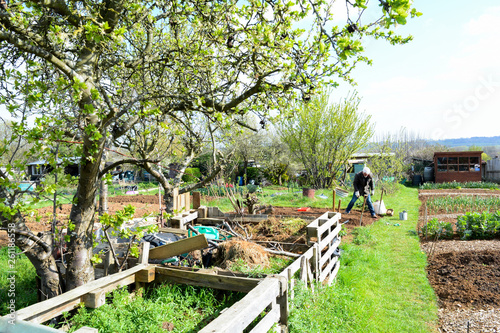 Slika na platnu Man outside gardening in a allotment