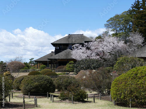 桜咲く　偕楽園　好文亭