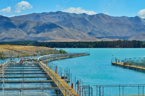 Crystal Blue Lake Fish Farm near Mount Cook New Zealand