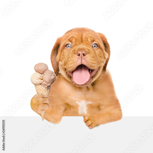 Mastiff puppy with ice cream above empty board. isolated on white background