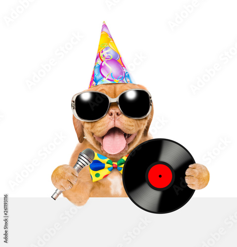 Funny puppy in party hat with microphone and with vinyl record above white banner. isolated on white background