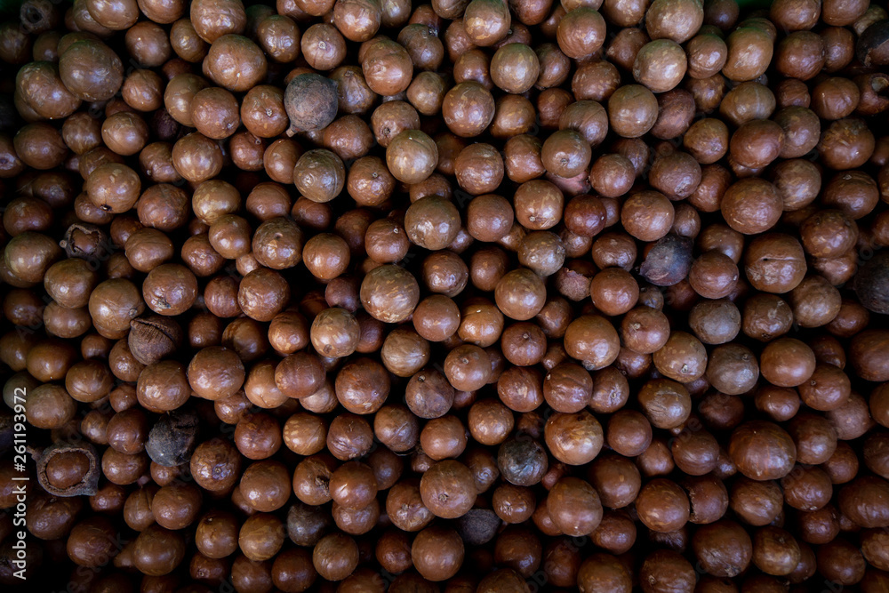 Macadamia nuts background Macadamia nuts background