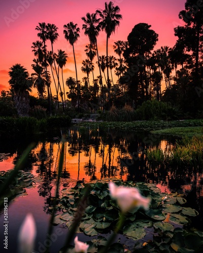 Echo Park Sunset
