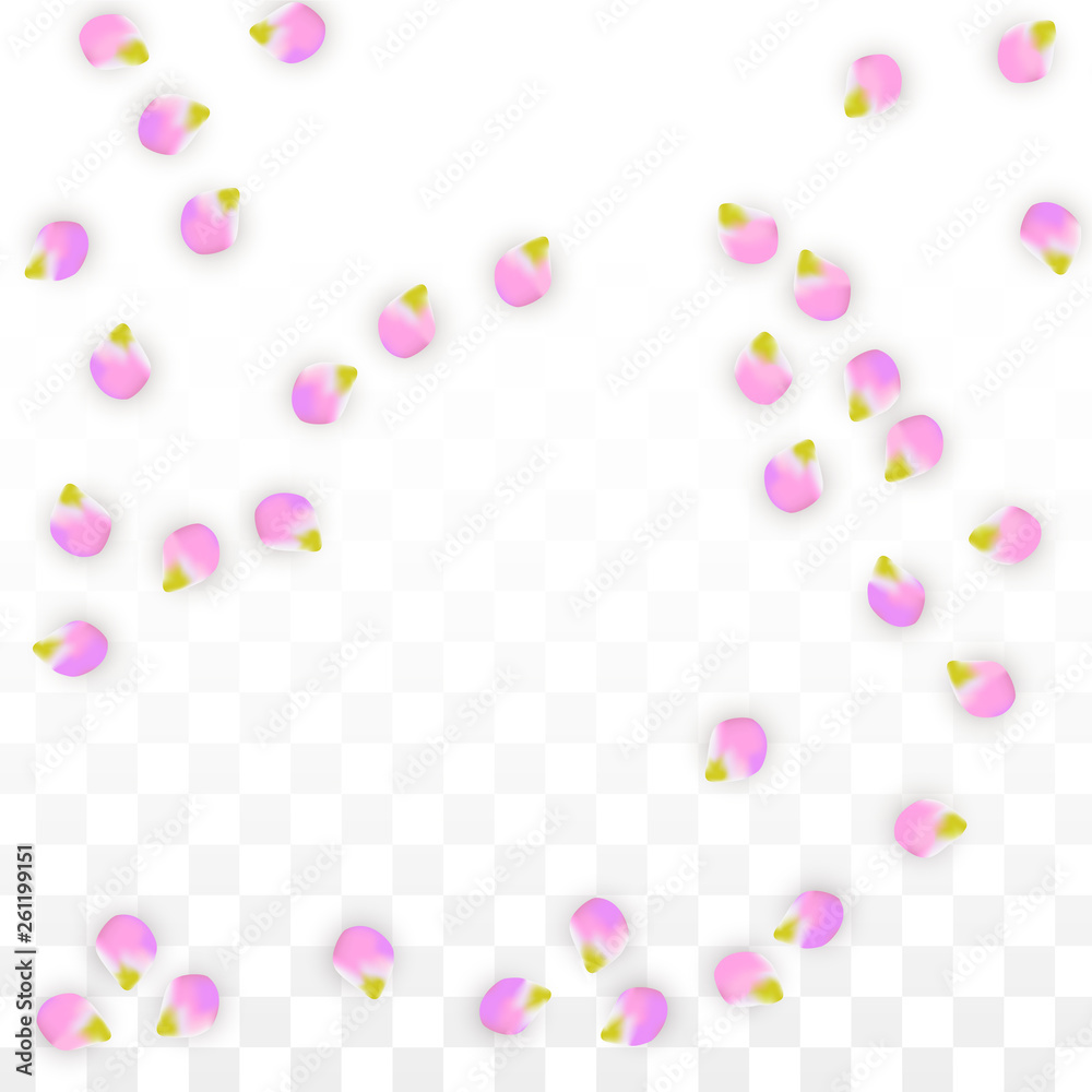 Vector Realistic Pink Petals Falling on Transparent Background. Spring Romantic Flowers Illustration. Flying Petals. Sakura Spa Design. Blossom Confetti. Vector Realistic Pink Petals Falling on Transparent Background. Spring Romantic Flowers Illustration. Flying Petals. Sakura Spa Design. Blossom Confetti.