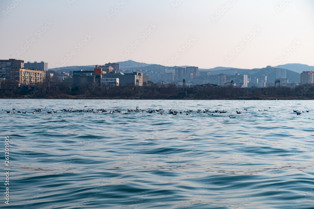 Vladivostok city view from the sea Vladivostok city view from the sea