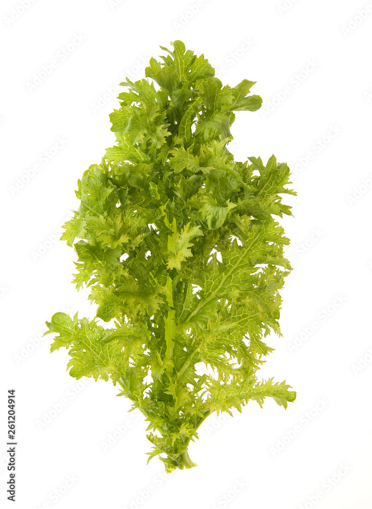 Fototapeta premium わさびな