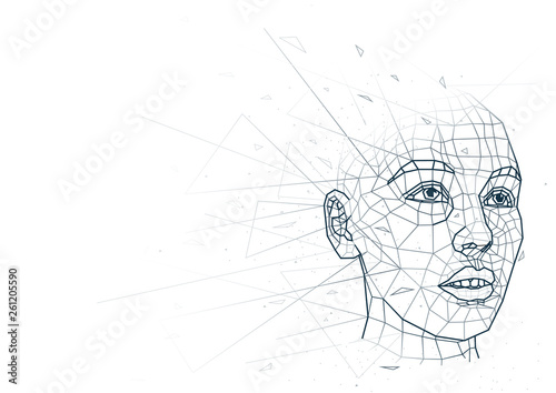 Abstract Human Head from Low Poly Wireframe Isolated on White Background - Polygonal Image Mash Line Structure, Vector Illustration