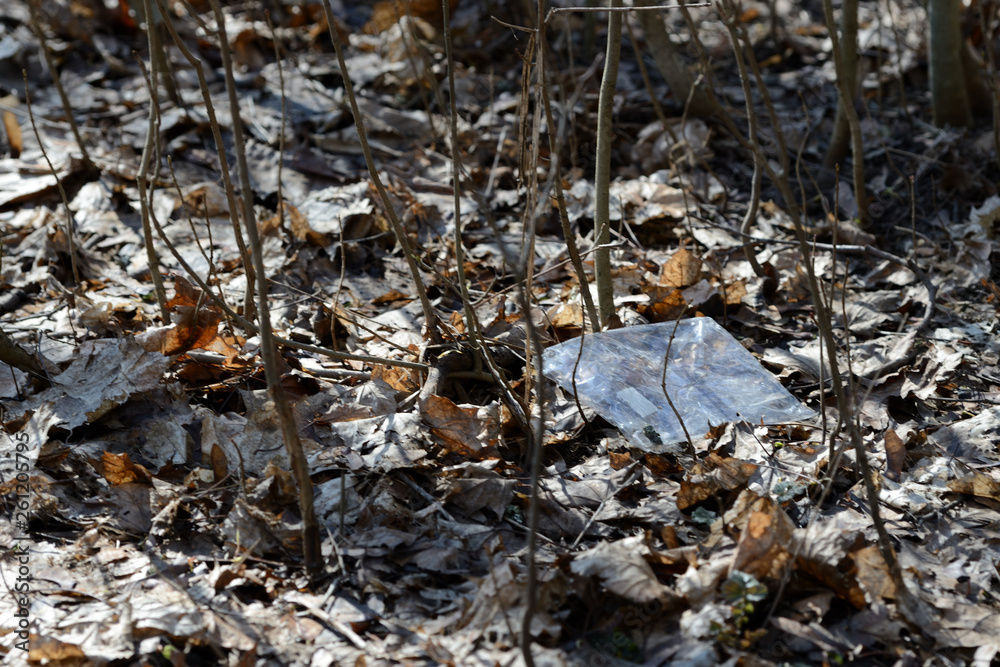 Garbage in the spring forest. The problem of ecology and pollution of nature Garbage in the spring forest. The problem of ecology and pollution of nature