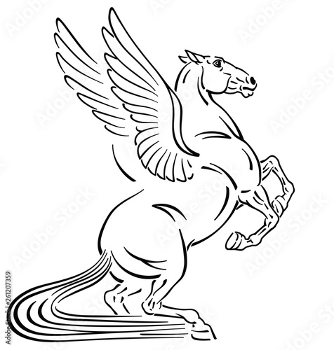 Pegasus mythological winged horse . Outline tattoo style vector illustration 