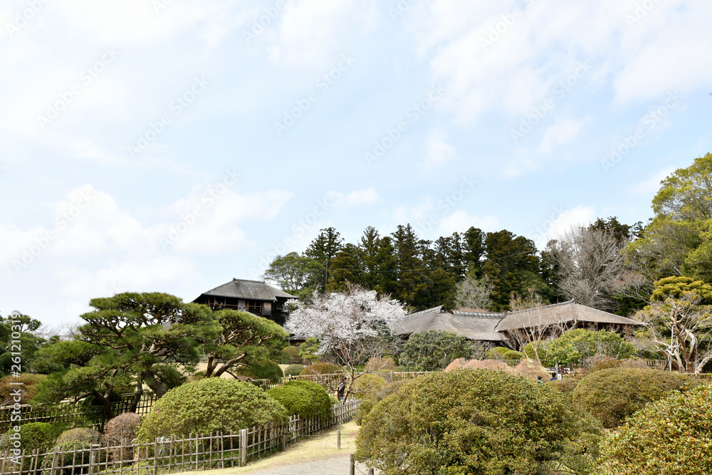 4月の偕楽園