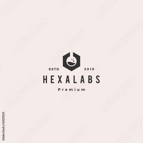 hexagon labs logo vector icon illustration