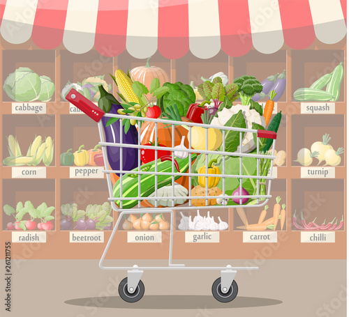 Supermarket store interior with vegetables in shopping cart. Big shopping mall. Interior store inside. Checkout counter, grocery, drinks, food, dairy products. Vector illustration in flat style