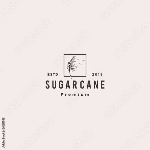 sugar cane logo vector icon illustration