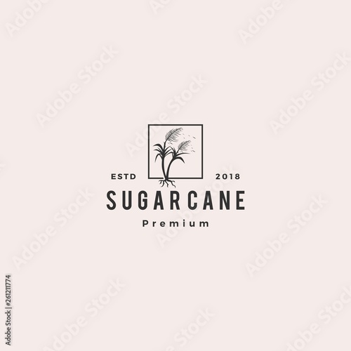 sugar cane logo vector icon illustration