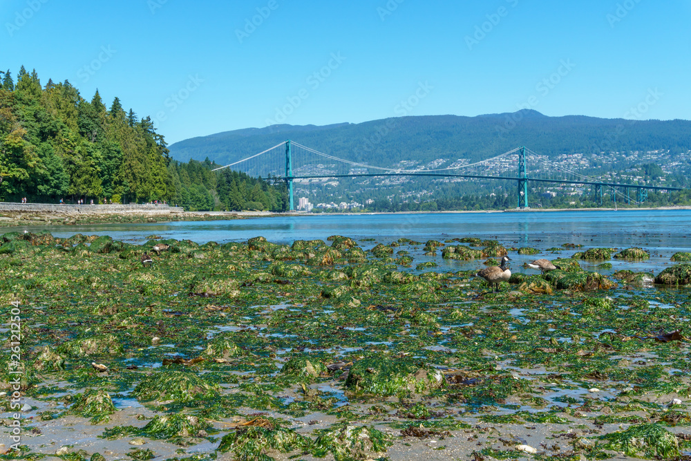 View on Lions Gate Bridge and Sea Wall from the beach with the mountains in the background. Stanley Park, Vancouver, Canada.