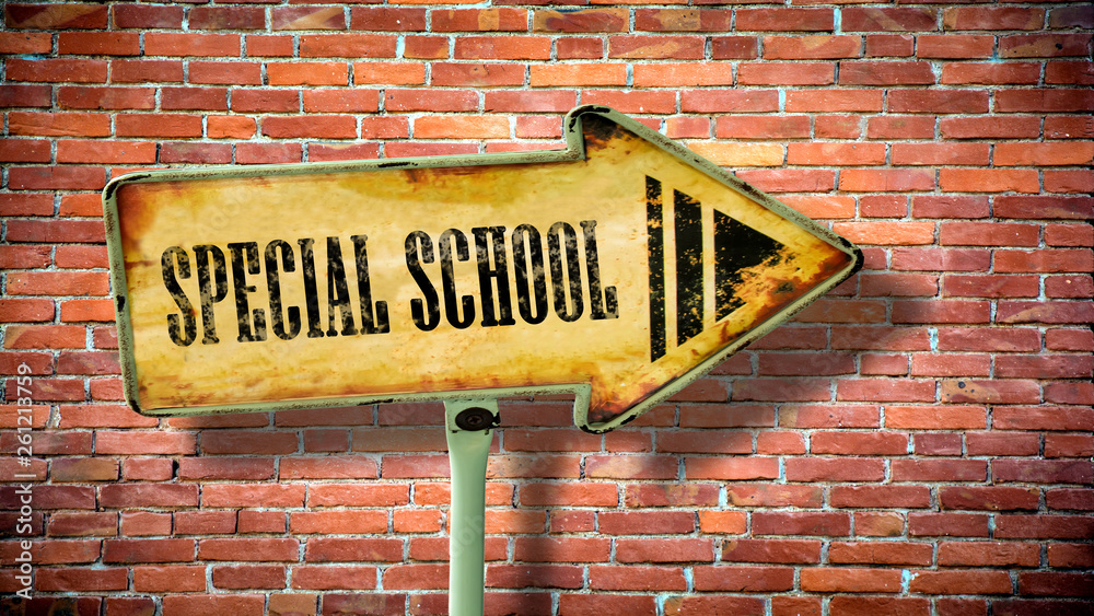 Fototapeta premium Street Sign SPECIAL SCHOOL