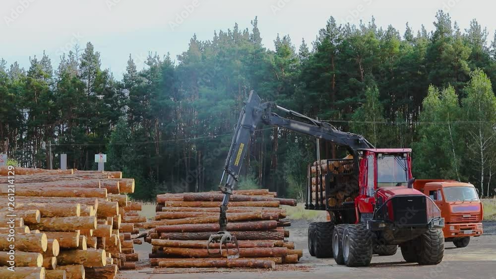 Loading logs with a manipulator in a truck, work at a sawmill, sawmill, working process