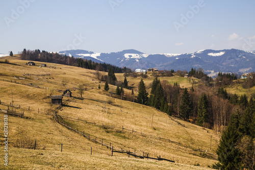 Beautiful landscape in forest Carpathian mountains