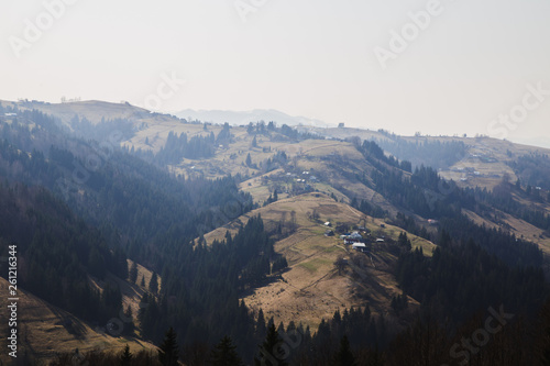 Beautiful landscape in forest Carpathian mountains