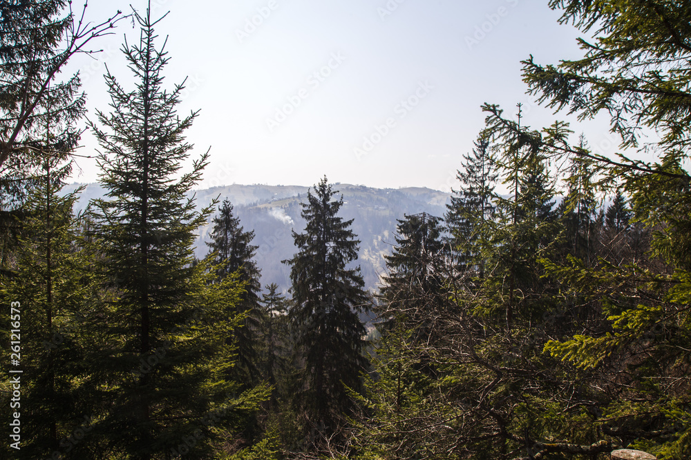 Beautiful landscape in forest Carpathian mountains Beautiful landscape in forest Carpathian mountains
