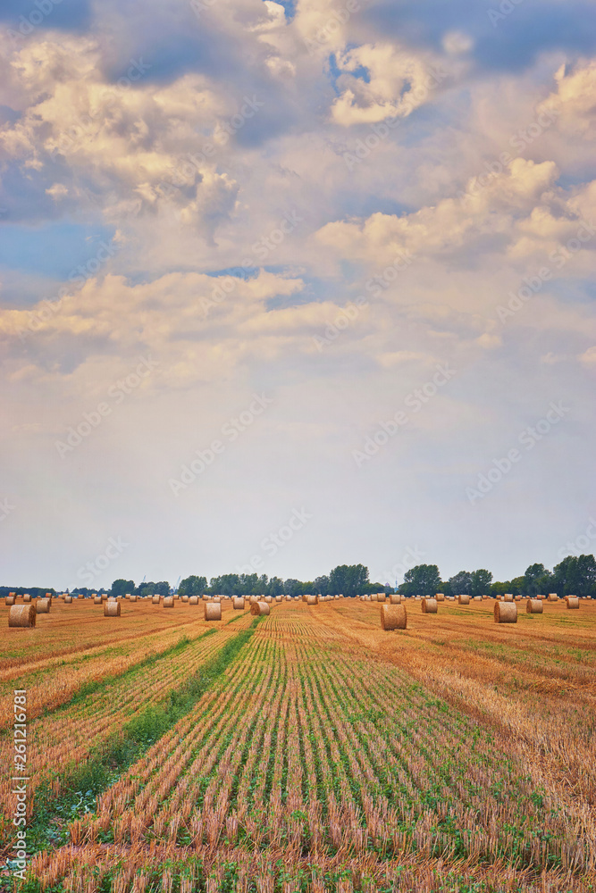 Straw bales under dramatic clouds in summer.
