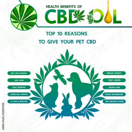 Cannabis benefits for pet health vector illustration.