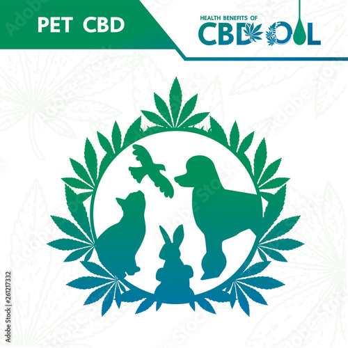 Cannabis benefits for pet health vector illustration.