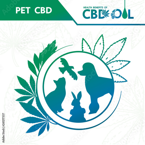 Cannabis benefits for pet health vector illustration.