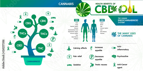 Cannabis benefits for health vector illustration.