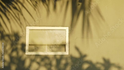 Summer Time Concept. Shadow of Coconut Tree and Tropical Plant Shading on the Wall in Sunny Day