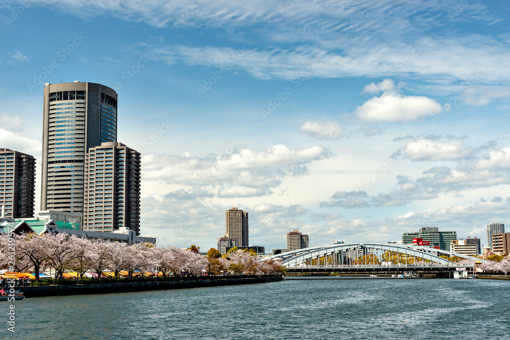 Fototapeta premium Office buildings along Okawa river in Osaka, Japan