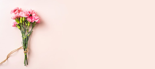 top view of carnation on pink background