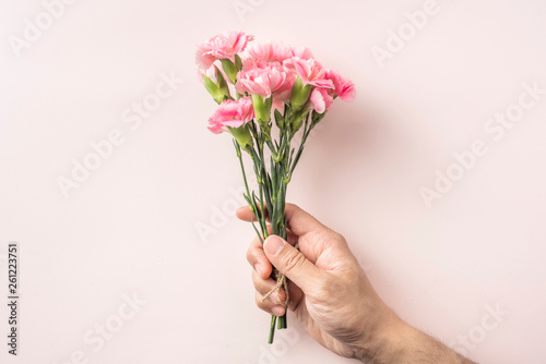 top view of man hand hold carnation on pink