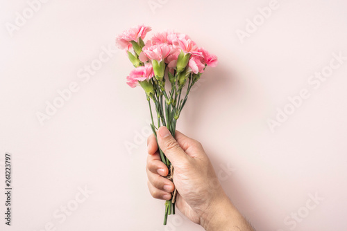 top view of man hand hold carnation on pink