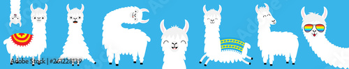 Llama alpaca big line set. Face glassess. Baby collection. Cute cartoon kawaii funny character. Fluffy hair fur. T-shirt, greeting card, poster template print. Flat design. Blue background. photo