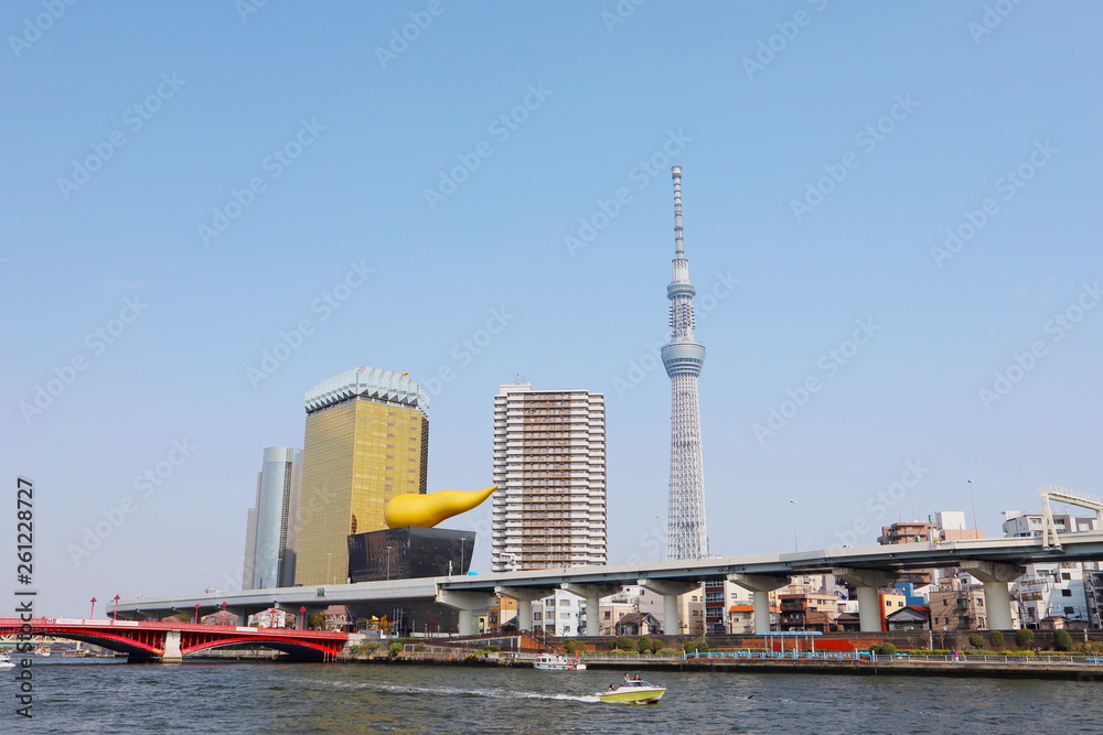 Naklejka premium 東京スカイツリーと桜