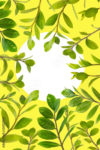 Branches with leaves isolated on yellow background with white circle in the center. Postcard design.